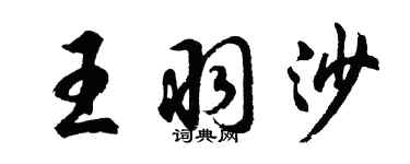 胡問遂王羽沙行書個性簽名怎么寫