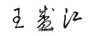 駱恆光王盛江草書個性簽名怎么寫