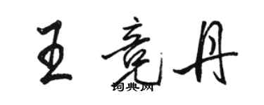 駱恆光王競丹行書個性簽名怎么寫