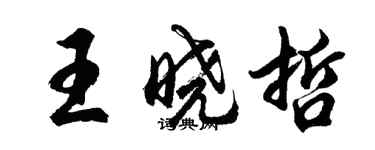 胡問遂王曉哲行書個性簽名怎么寫