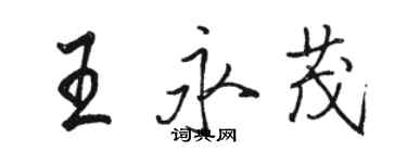 駱恆光王永茂行書個性簽名怎么寫