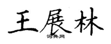 丁謙王展林楷書個性簽名怎么寫