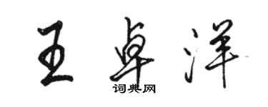 駱恆光王卓洋行書個性簽名怎么寫