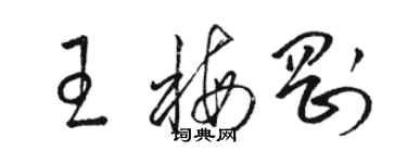 駱恆光王梅剛草書個性簽名怎么寫