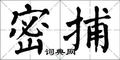 翁闓運密捕楷書怎么寫