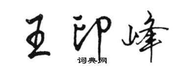 駱恆光王印峰行書個性簽名怎么寫