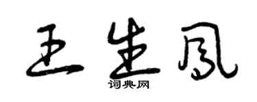 曾慶福王生鳳草書個性簽名怎么寫