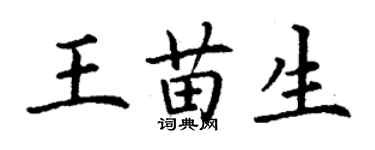 丁謙王苗生楷書個性簽名怎么寫