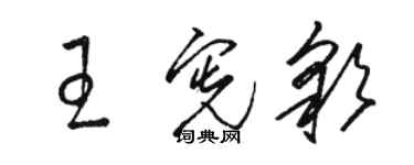 駱恆光王憲彩草書個性簽名怎么寫