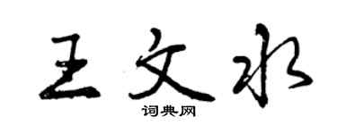 曾慶福王文水行書個性簽名怎么寫