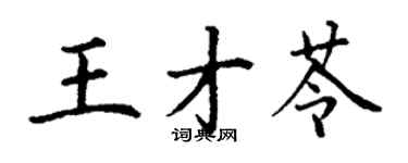 丁謙王才苓楷書個性簽名怎么寫