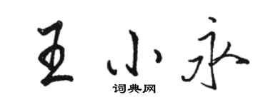 駱恆光王小永行書個性簽名怎么寫