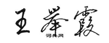 駱恆光王舉霞行書個性簽名怎么寫