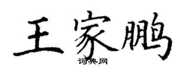 丁謙王家鵬楷書個性簽名怎么寫
