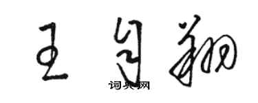 駱恆光王自翔草書個性簽名怎么寫