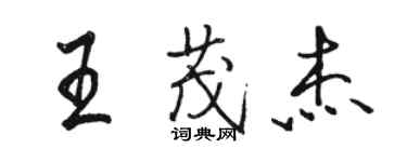 駱恆光王茂傑行書個性簽名怎么寫