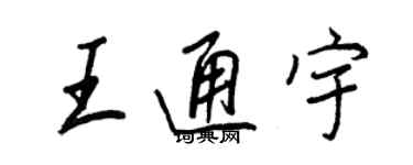 王正良王通宇行書個性簽名怎么寫
