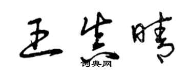 曾慶福王真晴草書個性簽名怎么寫