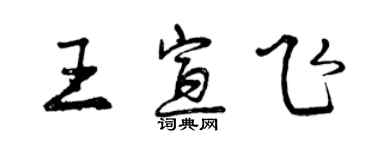 曾慶福王宣飛行書個性簽名怎么寫