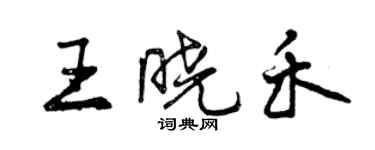 曾慶福王曉禾行書個性簽名怎么寫