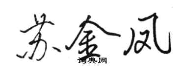 駱恆光蘇金鳳行書個性簽名怎么寫