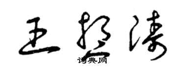 曾慶福王想濤草書個性簽名怎么寫