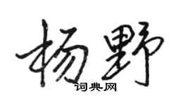 駱恆光楊野行書個性簽名怎么寫