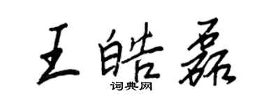 王正良王皓磊行書個性簽名怎么寫