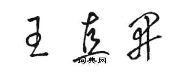 駱恆光王直開草書個性簽名怎么寫