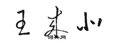 駱恆光王來北草書個性簽名怎么寫