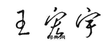 駱恆光王宏宇草書個性簽名怎么寫