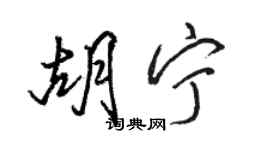 駱恆光胡寧行書個性簽名怎么寫