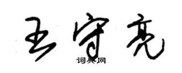 朱錫榮王守亮草書個性簽名怎么寫