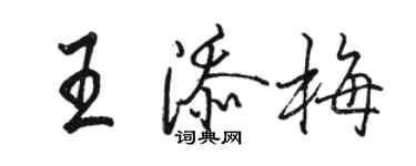 駱恆光王添梅行書個性簽名怎么寫