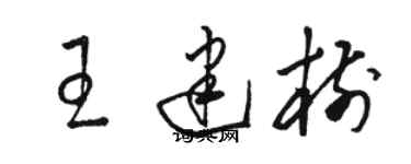 駱恆光王建樹草書個性簽名怎么寫