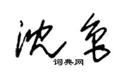朱錫榮沈魯草書個性簽名怎么寫