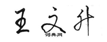 駱恆光王文升行書個性簽名怎么寫