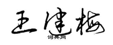 曾慶福王健梅草書個性簽名怎么寫