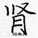 龐中華寫的硬筆楷書腎