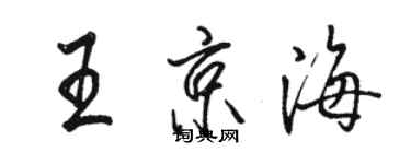 駱恆光王京海行書個性簽名怎么寫