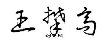 曾慶福王攀高草書個性簽名怎么寫