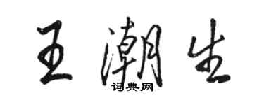 駱恆光王潮生行書個性簽名怎么寫