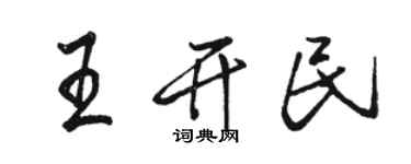 駱恆光王開民行書個性簽名怎么寫