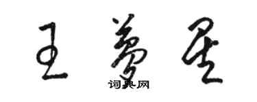 駱恆光王夢星草書個性簽名怎么寫