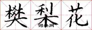 丁謙樊梨花楷書怎么寫
