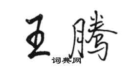 駱恆光王騰行書個性簽名怎么寫