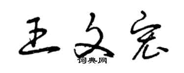 曾慶福王文宏草書個性簽名怎么寫