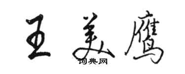 駱恆光王美鷹行書個性簽名怎么寫