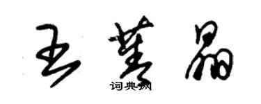 朱錫榮王菁晶草書個性簽名怎么寫