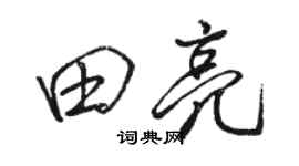 駱恆光田亮行書個性簽名怎么寫